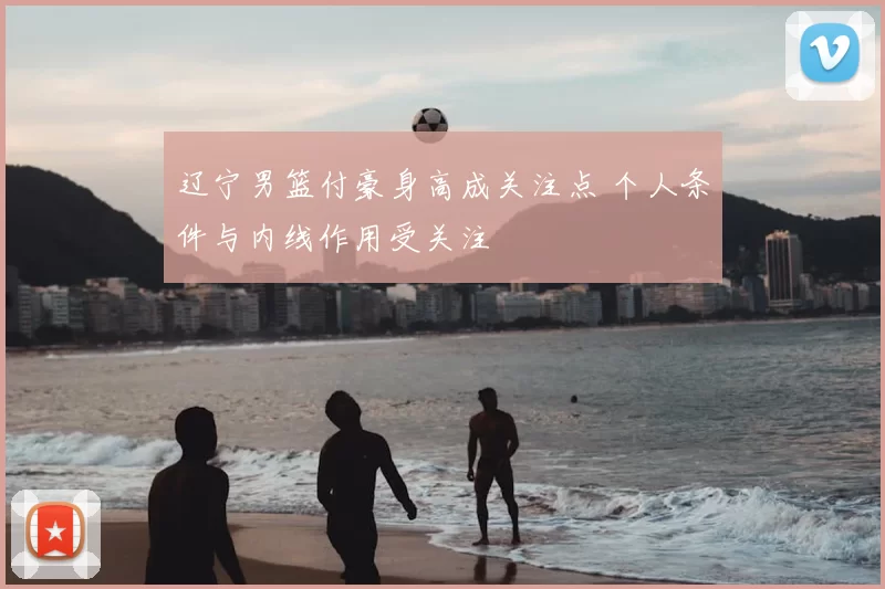 辽宁男篮付豪身高成关注点 个人条件与内线作用受关注