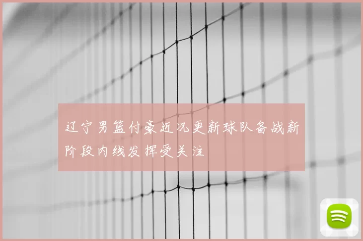 辽宁男篮付豪近况更新球队备战新阶段内线发挥受关注