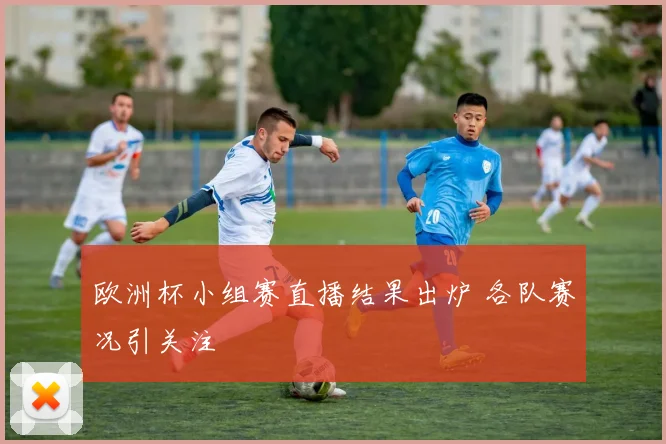欧洲杯小组赛直播结果出炉 各队赛况引关注