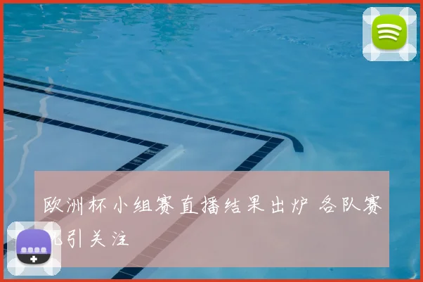 欧洲杯小组赛直播结果出炉 各队赛况引关注